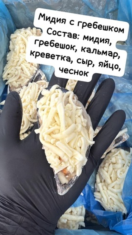 Мидия Грея с гребешком на створке