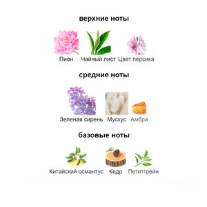Духи DILIS CLASSIC COLLECTION №16, женские, цветочные, фруктовые