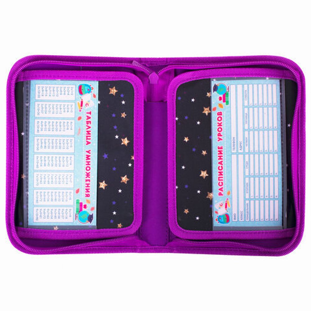 Пенал BRAUBERG, 1 отделение, 2 откидные планки, полиэстер, 21х14 см, "Shiny star", 270312
