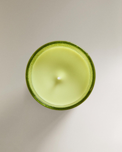 Zara Home Свеча ароматическая BERGAMOT & SANDALWOOD 155 г, растительный воск, аромат древесный, Зелёный