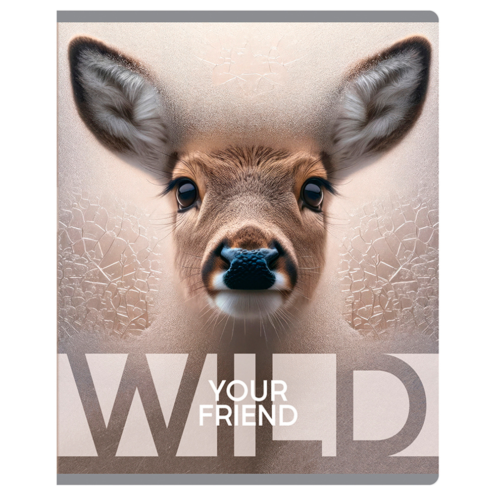 Тетрадь общая BG "Wild", А5, 48 листов в клетку, на скрепке
