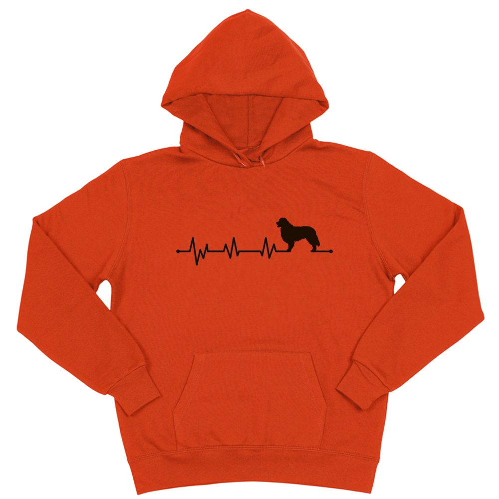 Толстовка "Берн - сердечный ритм"