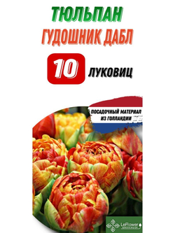 Тюльпан Луковица, Гудошник Дабл, 10шт