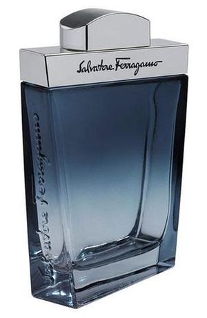 Salvatore Ferragamo Subtil Pour Homme