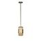 Подвесной светильник Loft IT Hudson 10097P