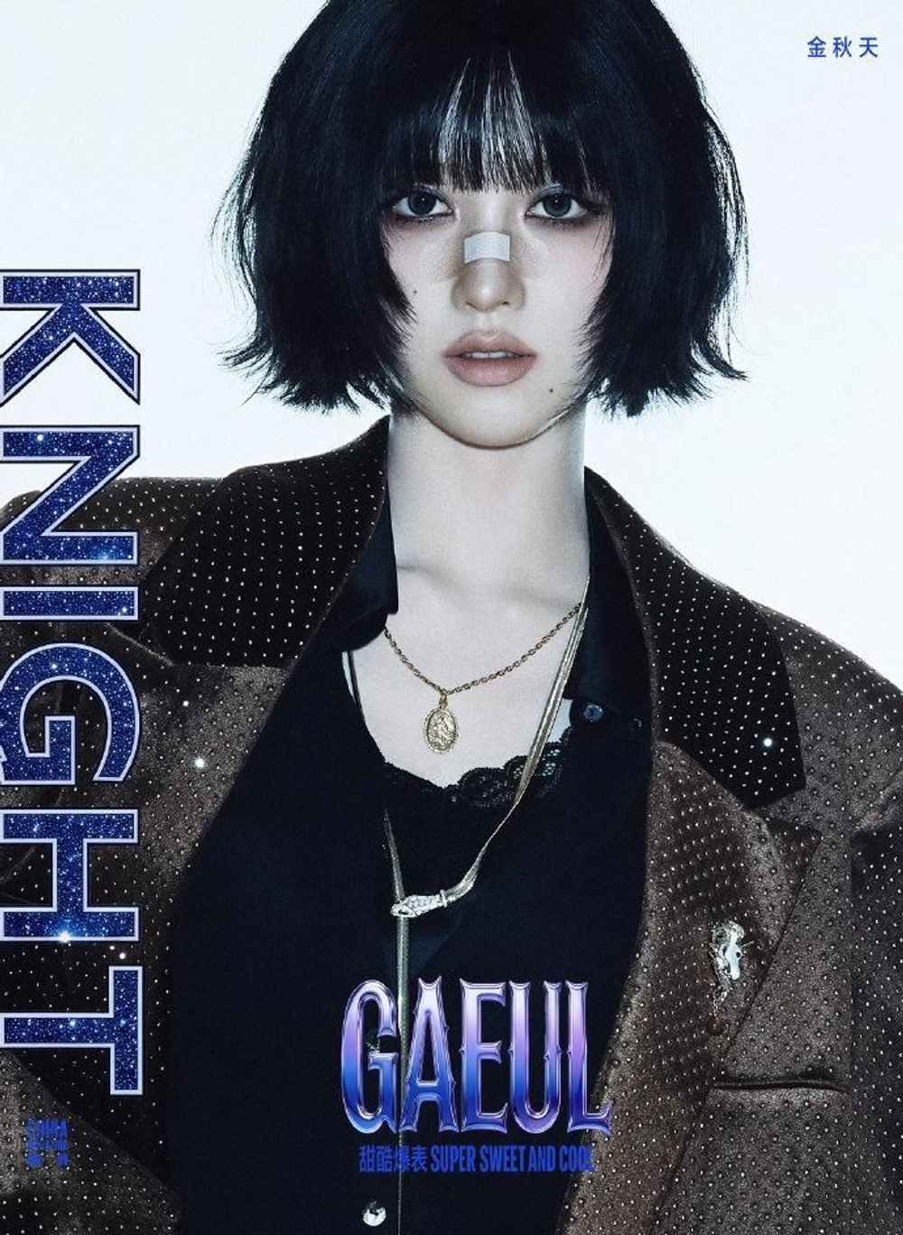 (ПРЕДЗАКАЗ) публикация KNIGHT (CHINA) - 2026.04 GAEUL B Type