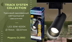 Ambrella Трековый однофазный светодиодный светильник Track System GL5860