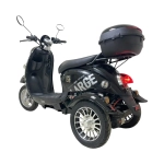 Электротрицикл GT-EV5 (Черный)