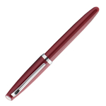 Перьевая ручка Aurora Style Resin, burgundy resin GT, , перо - F, в подарочной коробке