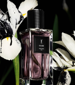 Yves Saint Laurent Muse