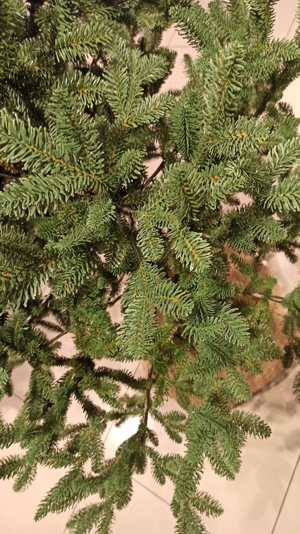 Искусственная ель на ножке «Датская» (хвоя Литая) 210 см / 2.1 м