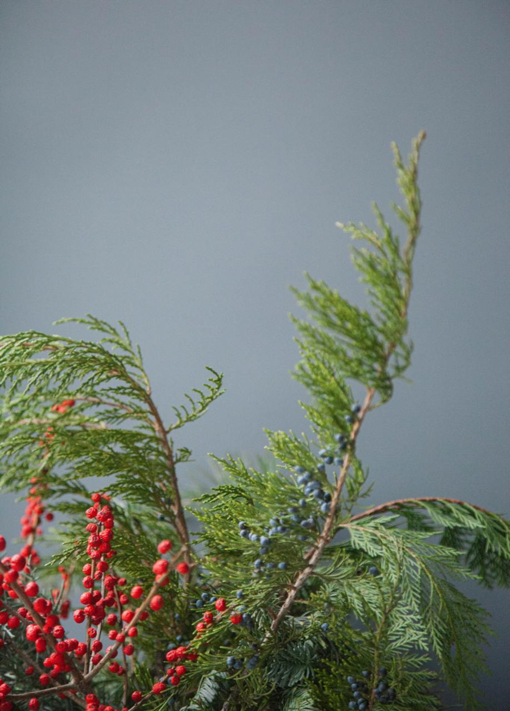 Микс хвои с илексом S