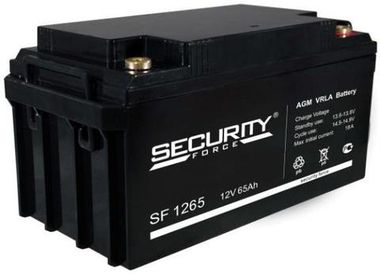 Аккумуляторы Security Force SF 1265 - фото 1