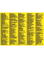 200ка Горячих хитов 5050 (200 треков) (MP3 Флешка)