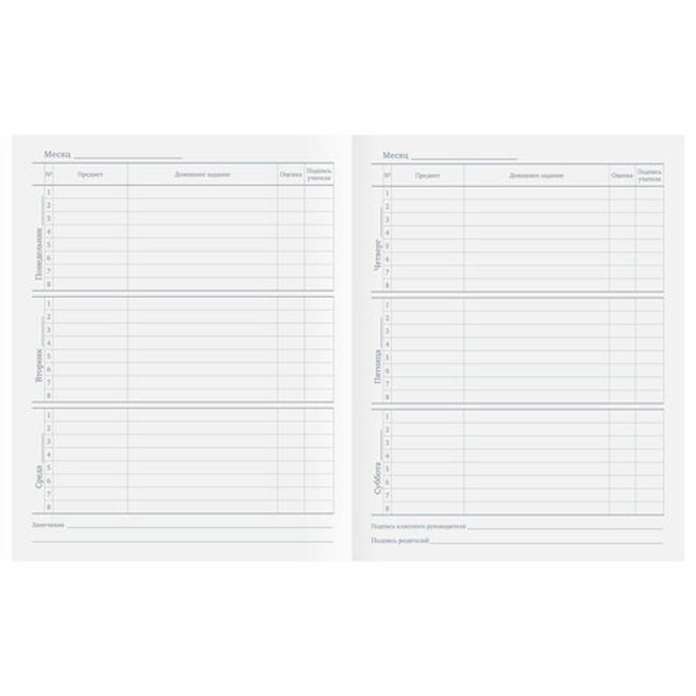 Дневник 1-11 класс 40 л., на скобе, ПИФАГОР, обложка картон, "Football", 106341