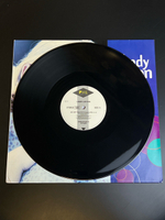 LP Lindy Layton – We Got The Love. Виниловая пластинка 12 дюймов. Германия 1992 год