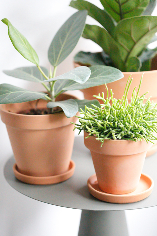 Терракотовый горшок d 21