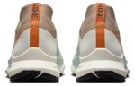 Кроссовки Nike Pegasus Trail 4