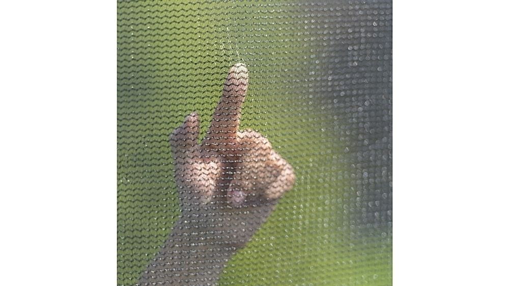 Батут Sky Double (3,05 м)