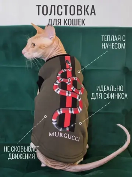 Одежда для кошек сфинкс гуччи