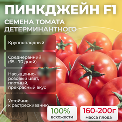 ПИНКДЖЕЙН F1 семена томата (Enza Zaden | Alexagro)