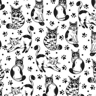 Коты и кошки. Милые черно-белые котята, животные