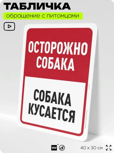 Табличка "Осторожно собака, собака кусается" на дверь и забор, для двора, дома, подъезда, 40х30 см, Silver Plane x Айдентика Технолоджи