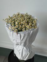 Букет моно из ромашек