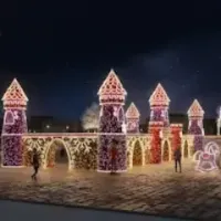 Декорации светодиодные