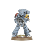 Space Wolves Grey Hunters
