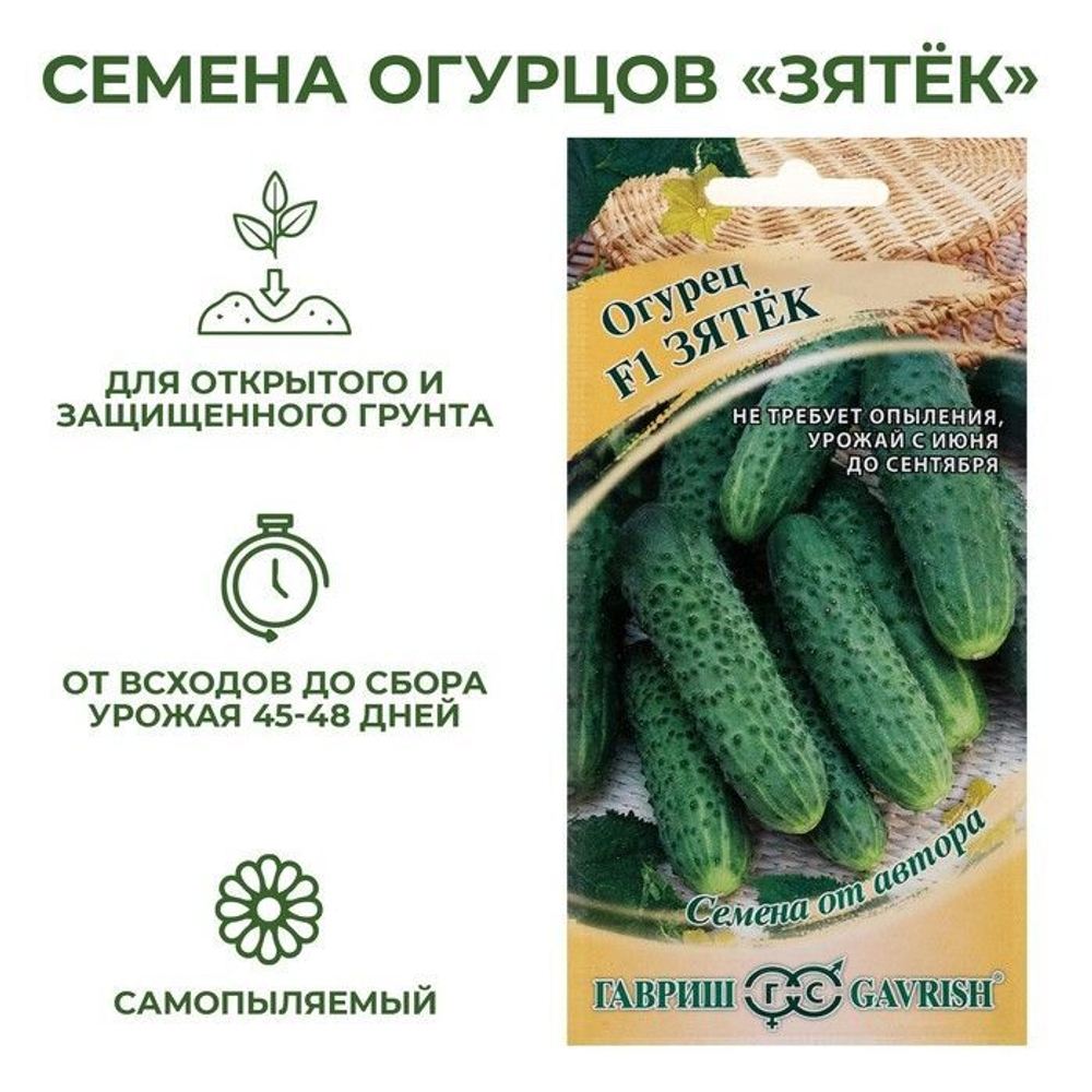 Огурец Зятек