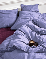 ESSENZA Комплект постельного белья Minte