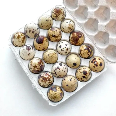 Яйцо перепелиное от счастливых перепёлок "Ферма Евгения Рошаля", 20 шт