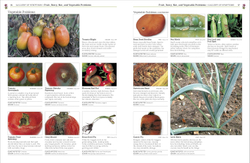 RHS Pests & Diseases