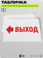 Табличка для обеспечения безопасности "Выход", для офиса, по охране труда для предприятия, организаций, 40х30 см, Silver Plane x Айдентика Технолоджи