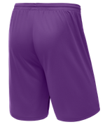 Шорты баскетбольные Camp Basic, фиолетовый, детский