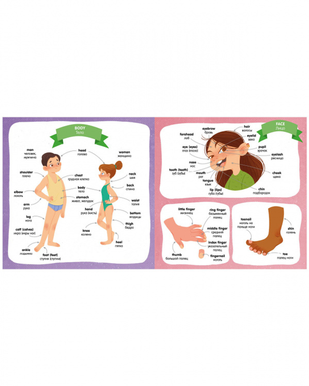 Словарь английского языка для детей "Мой первый английский. Английский словарь в картинках"