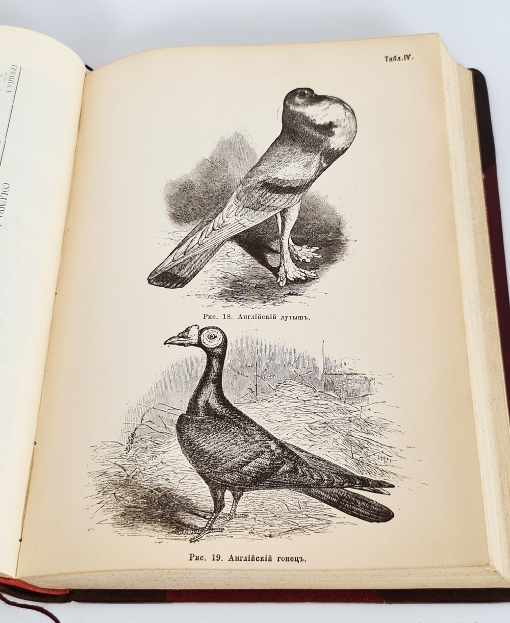 "Собрание сочинений.  В четырех томах."  Ч.Р.Дарвин. 1901 г.