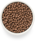 Grandorf Fresh Dog Potato корм сухой беззерновой для собак мелких пород утка,бататом