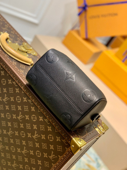 Louis Vuitton Speedy 20