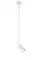 P070DW/1 WHITE (1) Светильник (NW)