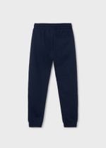 спортивные брюки