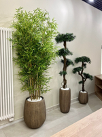 Бамбук ветка 210 см