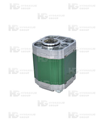 Шестеренный насос X1P2343DZZB