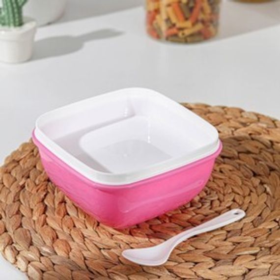Yemək qabı \ Ланч-бокс Контейнер пластиковый пищевой «Уют», с крышкой, приборами и вкладышем, цвет МИКС