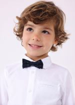 рубашка с бабочкой