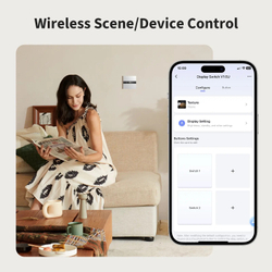 Переключатель дисплея V1 EU, модель WS-K02D