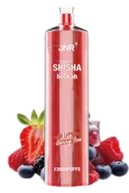 JNR Shisha Hookah Ягодный микс со льдом 12000 затяжек 20мг (2%)