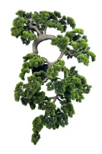 Бонсай каскад с длинной иглой в. 145 см/ ш. 95 см