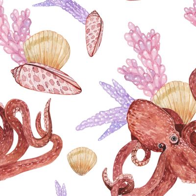 Осьминог и ракушки